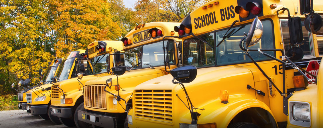Picture of school buses in Fall.